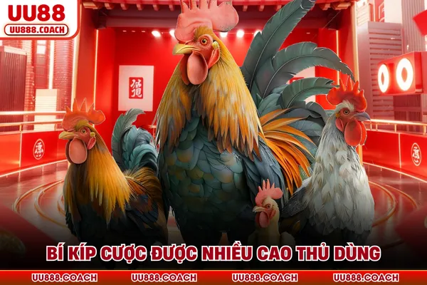 Bí kíp cược được nhiều cao thủ dùng