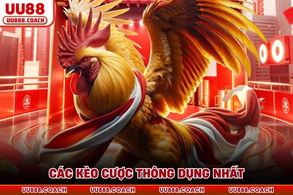 Các kèo cược thông dụng nhất