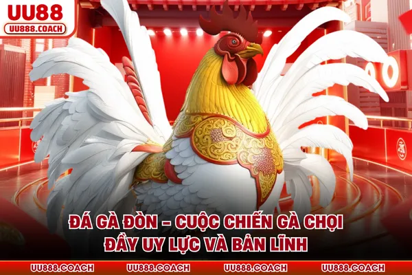 Đá Gà Đòn - Cuộc Chiến Gà Chọi Đầy Uy Lực Và Bản Lĩnh