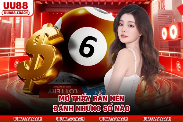 Mơ thấy rắn nên đánh những số nào