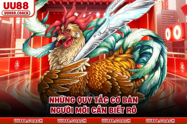 Những quy tắc cơ bản người mới cần biết rõ Những quy tắc cơ bản người mới cần biết rõ