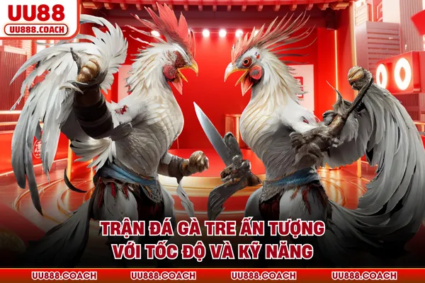 Trận đá gà tre ấn tượng với tốc độ và kỹ năng